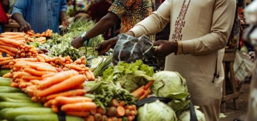 Veganism and Sustainable Development: Why Africa’s Food Future Matters