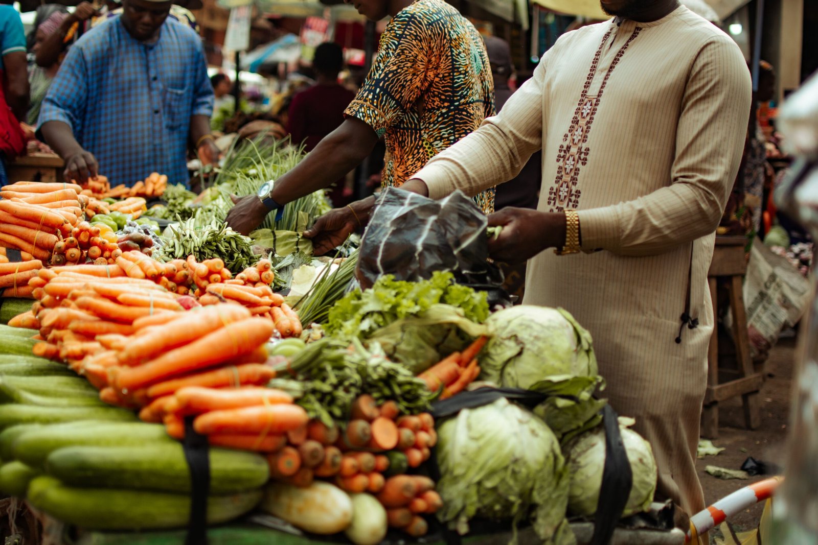 Veganism and Sustainable Development: Why Africa’s Food Future Matters
